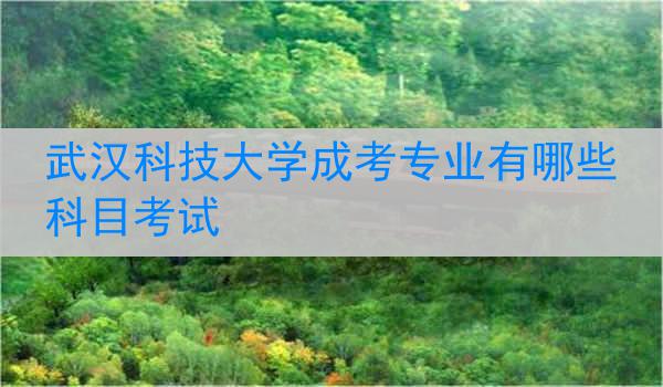 武汉科技大学成考专业有哪些科目考试