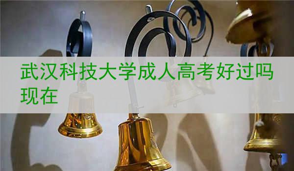 武汉科技大学成人高考好过吗现在