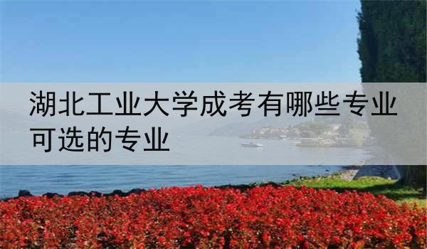 湖北工业大学成考有哪些专业可选的专业