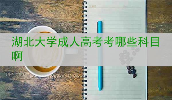 湖北大学成人高考考哪些科目啊