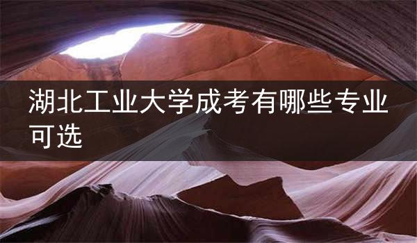 湖北工业大学成考有哪些专业可选