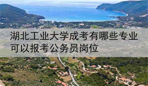 湖北工业大学成考有哪些专业可以报考公务员岗位