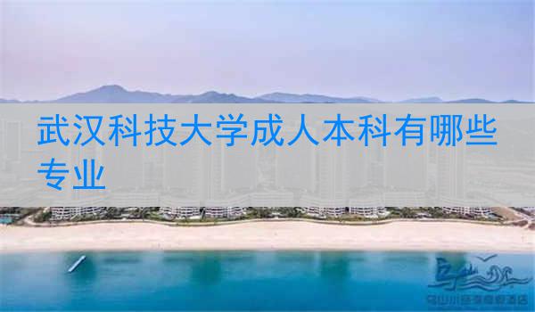 武汉科技大学成人本科有哪些专业