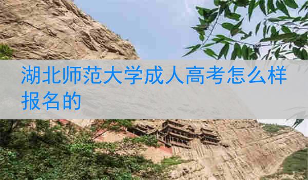 湖北师范大学成人高考怎么样报名的