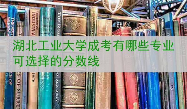 湖北工业大学成考有哪些专业可选择的分数线