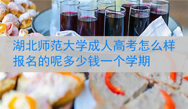 湖北师范大学成人高考怎么样报名的呢多少钱一个学期