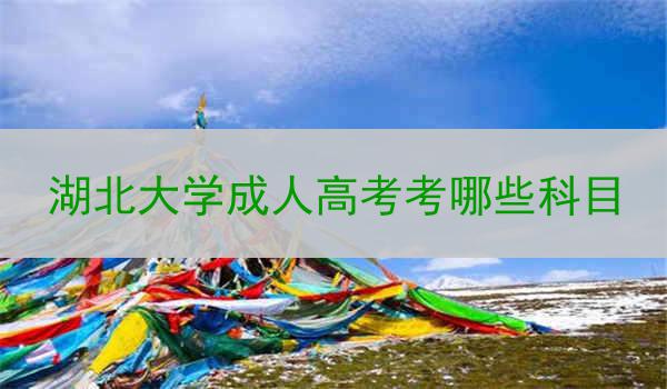 湖北大学成人高考考哪些科目