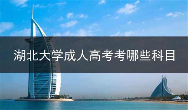 湖北大学成人高考考哪些科目