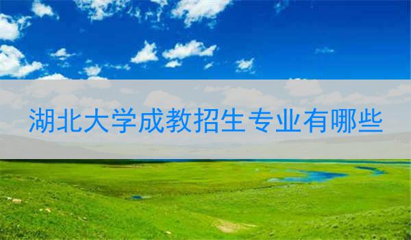 湖北大学成教招生专业有哪些