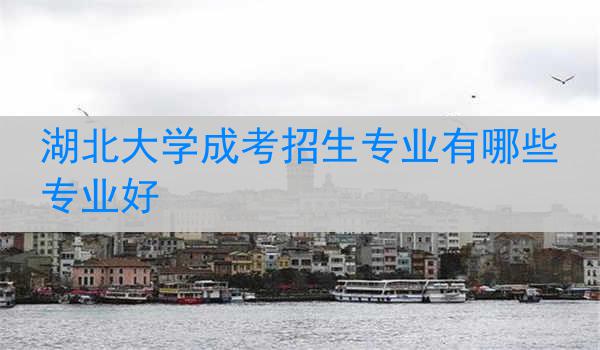 湖北大学成考招生专业有哪些专业好