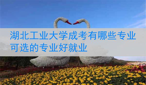 湖北工业大学成考有哪些专业可选的专业好就业