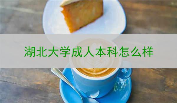 湖北大学成人本科怎么样