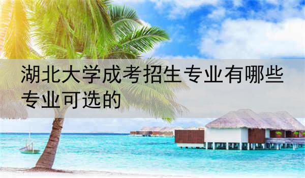 湖北大学成考招生专业有哪些专业可选的
