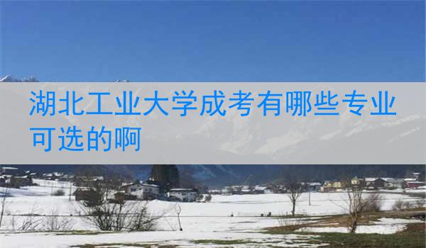 湖北工业大学成考有哪些专业可选的啊