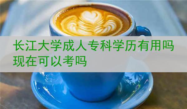 长江大学成人专科学历有用吗现在可以考吗