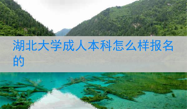 湖北大学成人本科怎么样报名的