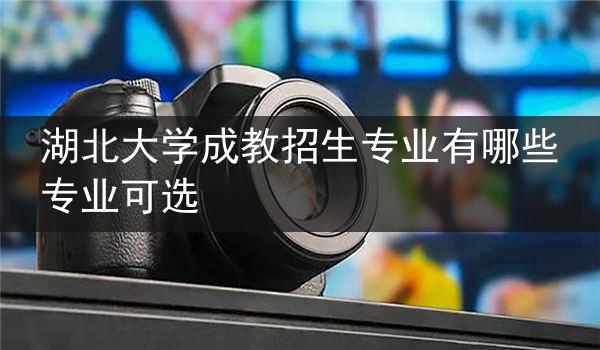 湖北大学成教招生专业有哪些专业可选