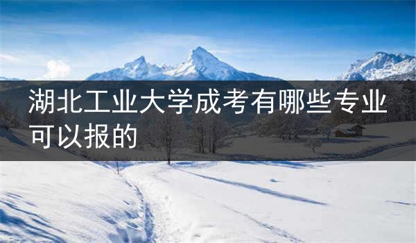 湖北工业大学成考有哪些专业可以报的