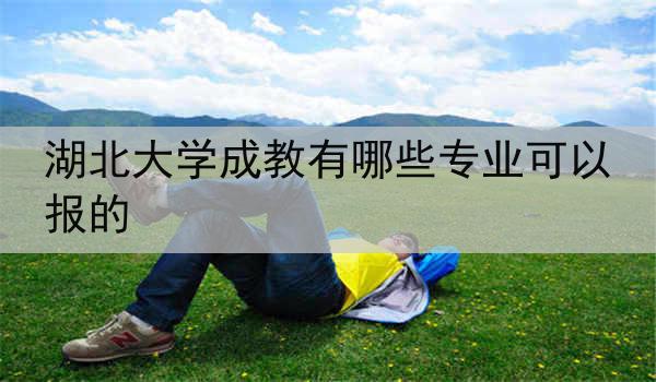 湖北大学成教有哪些专业可以报的