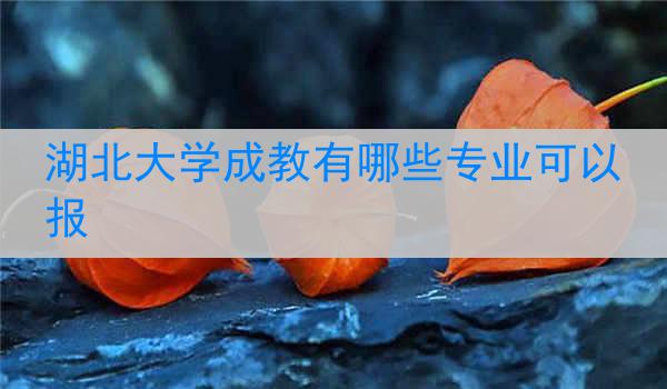 湖北大学成教有哪些专业可以报