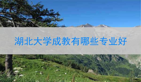 湖北大学成教有哪些专业好