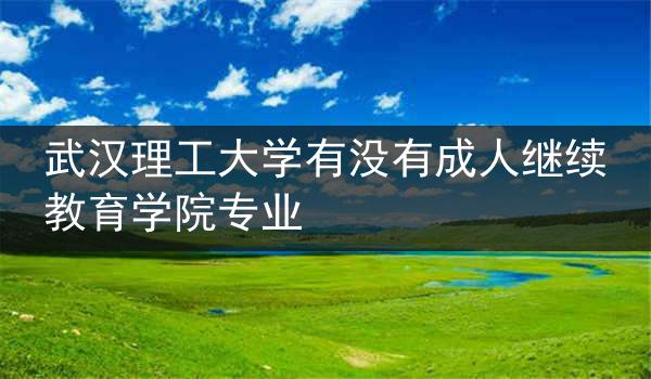 武汉理工大学有没有成人继续教育学院专业