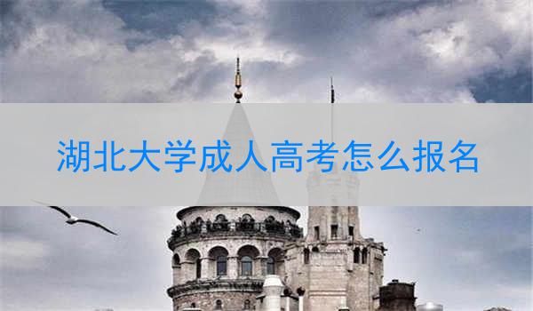 湖北大学成人高考怎么报名