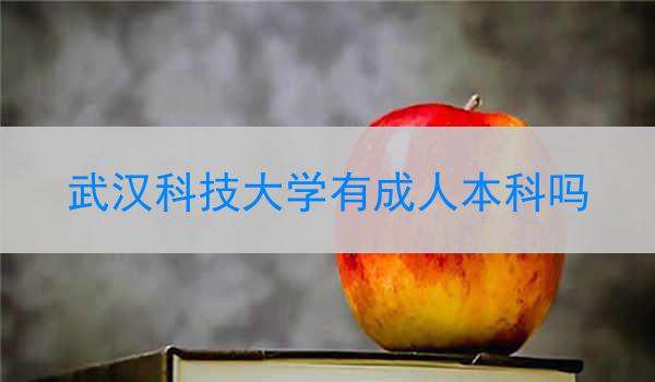 武汉科技大学有成人本科吗
