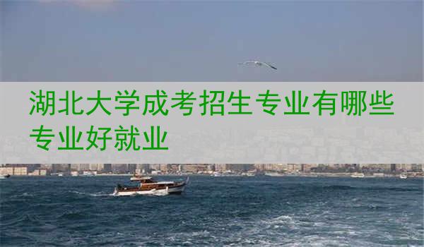 湖北大学成考招生专业有哪些专业好就业