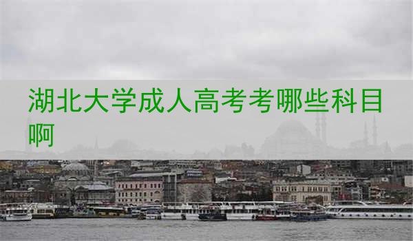 湖北大学成人高考考哪些科目啊
