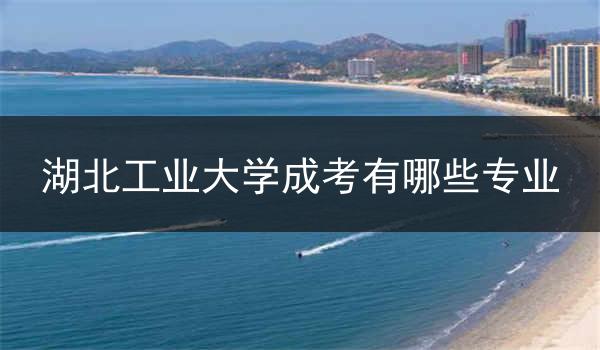 湖北工业大学成考有哪些专业