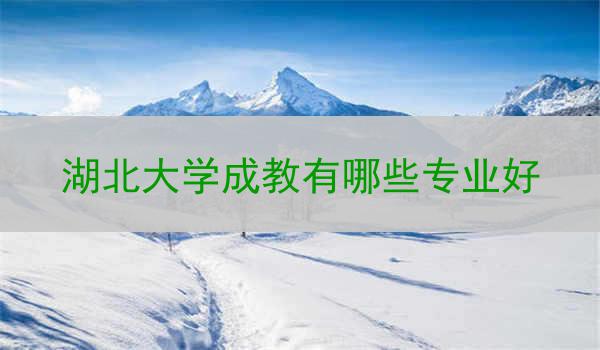 湖北大学成教有哪些专业好