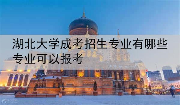 湖北大学成考招生专业有哪些专业可以报考