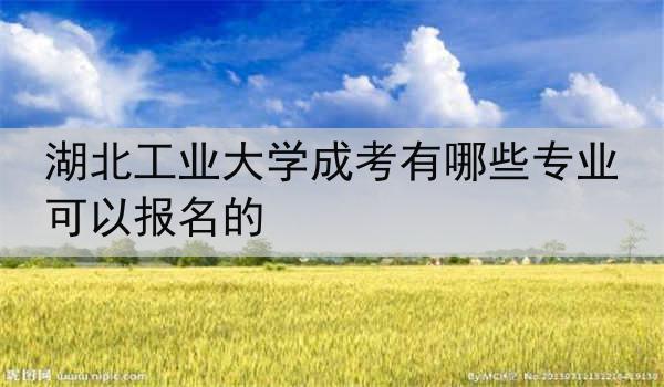 湖北工业大学成考有哪些专业可以报名的