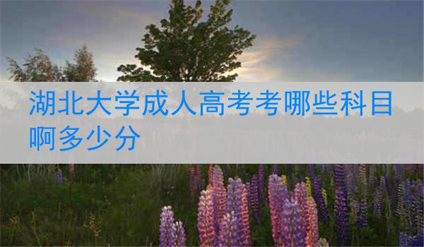 湖北大学成人高考考哪些科目啊多少分