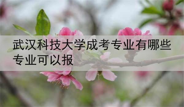 武汉科技大学成考专业有哪些专业可以报