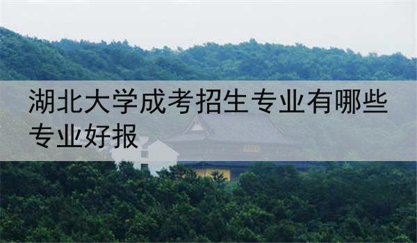 湖北大学成考招生专业有哪些专业好报
