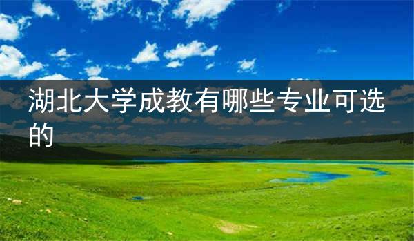 湖北大学成教有哪些专业可选的