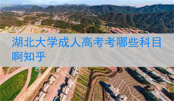 湖北大学成人高考考哪些科目啊知乎