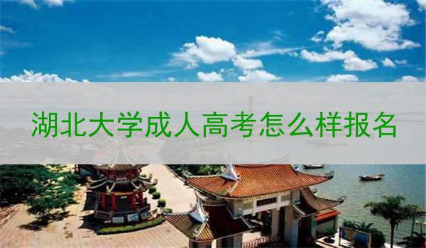 湖北大学成人高考怎么样报名