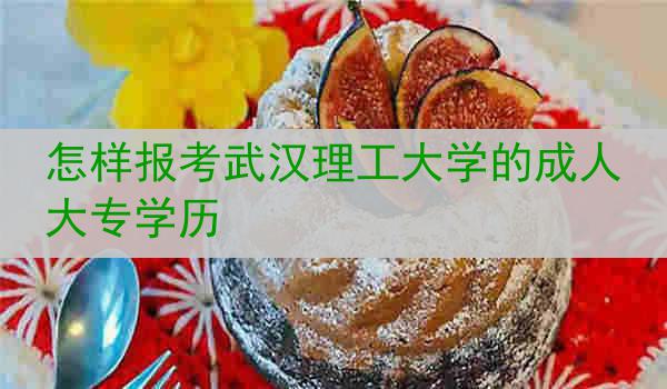怎样报考武汉理工大学的成人大专学历