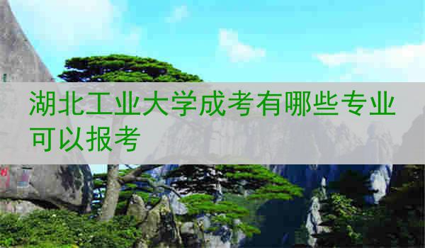 湖北工业大学成考有哪些专业可以报考