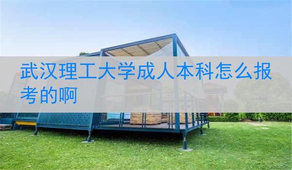 武汉理工大学成人本科怎么报考的啊