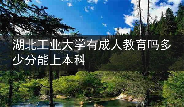 湖北工业大学有成人教育吗多少分能上本科
