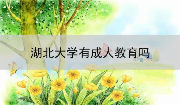 湖北大学有成人教育吗