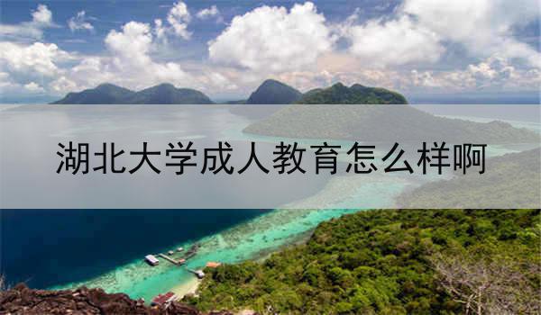 湖北大学成人教育怎么样啊