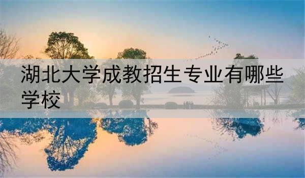 湖北大学成教招生专业有哪些学校
