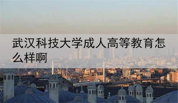 武汉科技大学成人高等教育怎么样啊