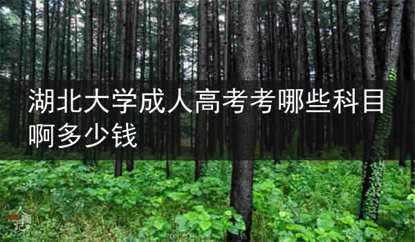 湖北大学成人高考考哪些科目啊多少钱