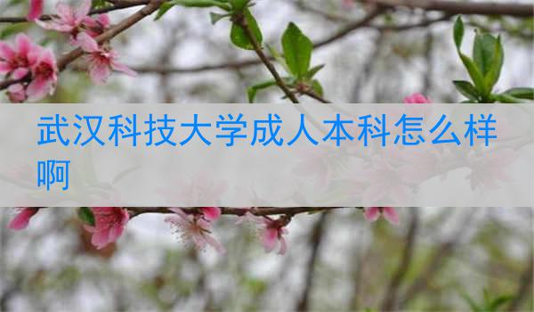 武汉科技大学成人本科怎么样啊